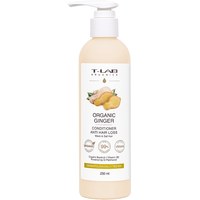 Зображення  Кондиціонер для ослабленого та тьмяного волосся T-LAB Professional Organics Organic Ginger Conditioner 250 мл