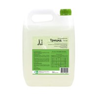 Изображение  Concentrated disinfectant Tricid for tools and surfaces 5000 ml, Blanidas