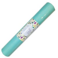 Изображение  Простыни Panni Mlada 0.8х500 м (1 рулон) из спанбонда мятный, Размер простыни: 80 см * 500 м, Вариант: Mint