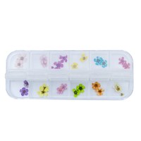 Изображение  Dried flower for nail decoration, set of 12 flowers