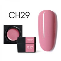 Зображення  Мус-гель кольоровий CANNI CH29 попелясто-рожевий, 5g, Об'єм (мл, г): 5, Цвет №: CH29