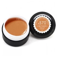 Изображение  CANNI 570 gel paint orange-caramel, 5 ml, Volume (ml, g): 5, Color No.: 570