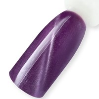 Изображение  Gel polish for nails ReformA 10 ml, Maine Coon, Volume (ml, g): 10, Color No.: Maine Coon