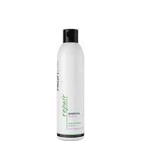 Изображение  Shampoo Recovery PROFIStyle REPAIR 250 ml, Volume (ml, g): 250