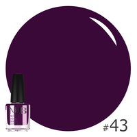 Изображение  Manicure varnish NUB Nail Polish 14 ml, No. 43, Volume (ml, g): 14, Color No.: 43
