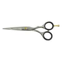 Изображение  Hairdressing scissors SPL 90070-55 5.5″ straight professional