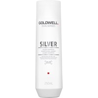 Изображение  Shampoo Goldwell Dualsenses Silver for bleached and gray hair 250 ml