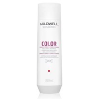 Изображение  Shampoo Goldwell Dualsenses Color to maintain the color of fine hair 250 ml, Volume (ml, g): 250