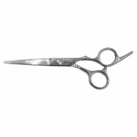 Зображення  Ножиці перукарські SPL 90060-60 прямі професійні 6.0