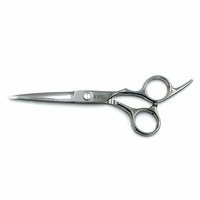 Зображення  Ножиці перукарські SPL 90061-60 прямі професійні 6.0