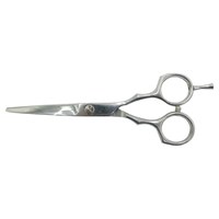 Изображение  Hairdressing scissors SPL 90062-55 straight professional 5.5