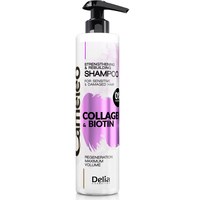 Зображення  Шампунь Delia Cosmetics Cameleo Collagen And Biotin Shampoo, 250 мл