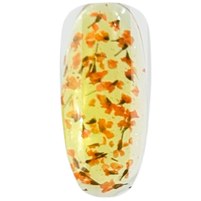 Изображение  ROKS Гель Boutigue Flowers 5 g № 2 (банка) сухоцвіт, Volume (ml, g): 5, Options: 2