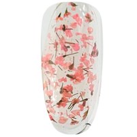 Изображение  ROKS Гель Boutigue Flowers 5 g № 3 (банка) сухоцвіт, Volume (ml, g): 5, Options: 3
