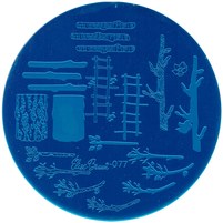 Изображение  Пластина для стемпинга Elise Braun Stamping Plate № 077