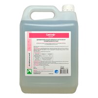 Изображение  Моющее средство антисептик для рук Lysoform Санисофт, 5л, Объем (мл, г): 5000