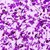 Изображение 3 Gel with dried flowers Kodi Flower Gel 08, 4 ml, Volume (ml, g): 4, Options: 8