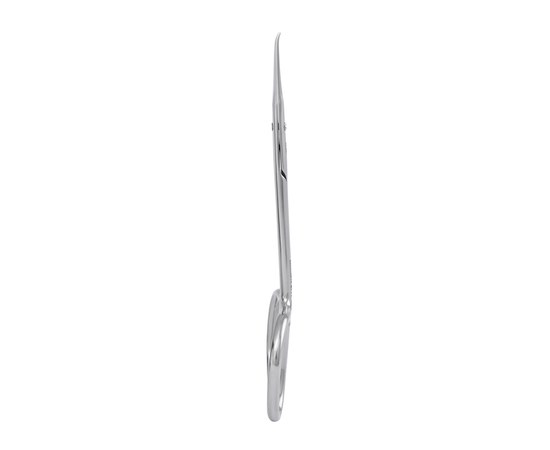 Изображение 3 Ножницы профессиональные для кожи STALEKS PRO EXCLUSIVE 21 TYPE 1 Magnolia SX-21/1m