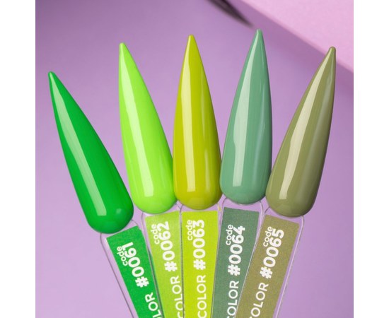 Изображение 2 Gel polish DNKa' Color №0062, 12 ml, Volume (ml, g): 12, Options: 0062