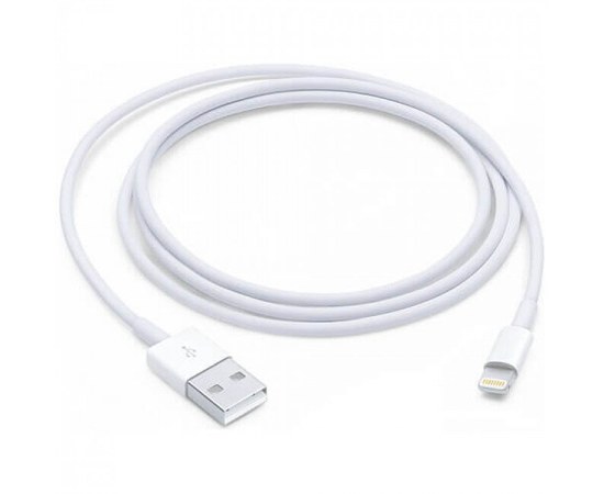 Изображение  Apple Lightning to USB Cable (White) A1480