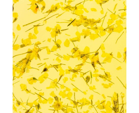Изображение 3 Gel with dried flowers Kodi Flower Gel 05, 4 ml, Volume (ml, g): 4, Options: 5
