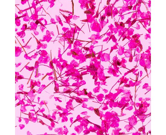 Изображение 3 Gel with dried flowers Kodi Flower Gel 07, 4 ml, Volume (ml, g): 4, Options: 7