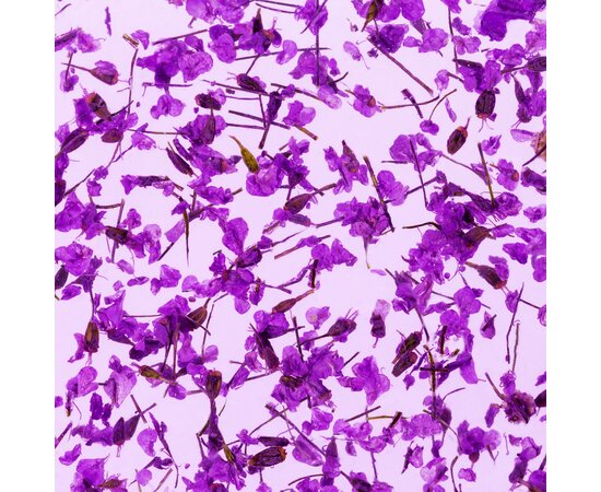 Изображение 3 Gel with dried flowers Kodi Flower Gel 08, 4 ml, Volume (ml, g): 4, Options: 8