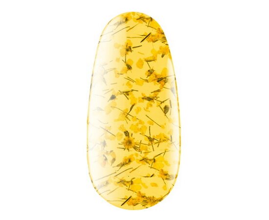 Изображение 2 Gel with dried flowers Kodi Flower Gel 05, 4 ml, Volume (ml, g): 4, Options: 5