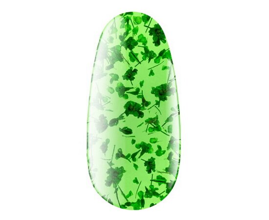 Изображение 2 Gel with dried flowers Kodi Flower Gel 06, 4 ml, Volume (ml, g): 4, Options: 6
