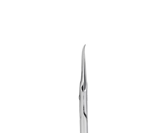 Изображение 5 Ножницы профессиональные для кожи STALEKS PRO EXCLUSIVE 31 TYPE 1 Magnolia SX-31/1