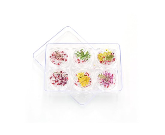 Изображение  Decor for nail design pebbles, dried flower Lilly Beaute 6 pcs - 1 pack