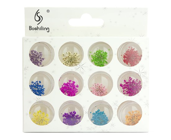 Изображение  A set of dried flowers in a container for decorating nails No. 2