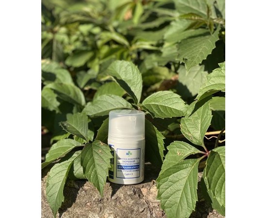 Изображение  Phytohormonal peptide-cocktail for dry skin "Renaissance" (40+), GreenHealth, 30 ml, Volume (ml, g): 30