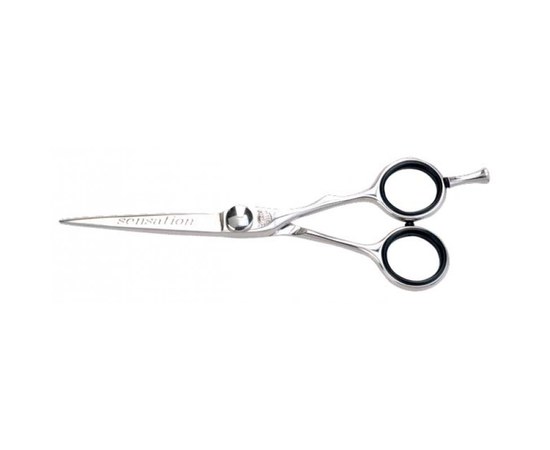 Изображение  Hairdressing scissors Kiepe Master Feeling 2258/5.5