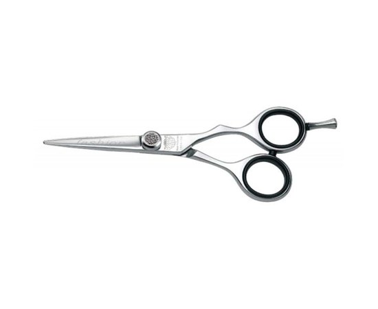 Изображение  Hairdressing scissors Kiepe Master Fasion 255/5