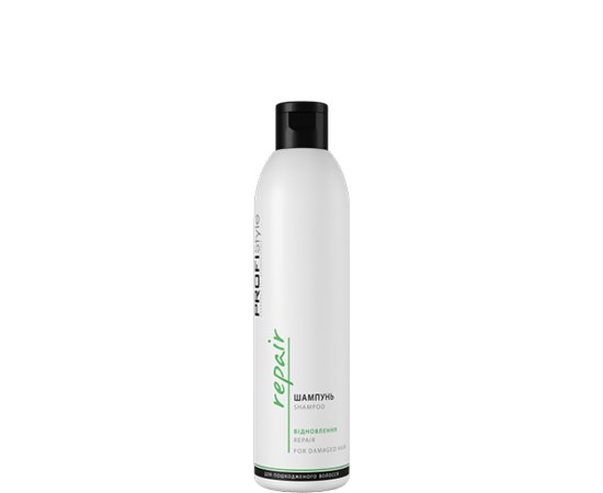Изображение  Shampoo Recovery PROFIStyle REPAIR 250 ml, Volume (ml, g): 250