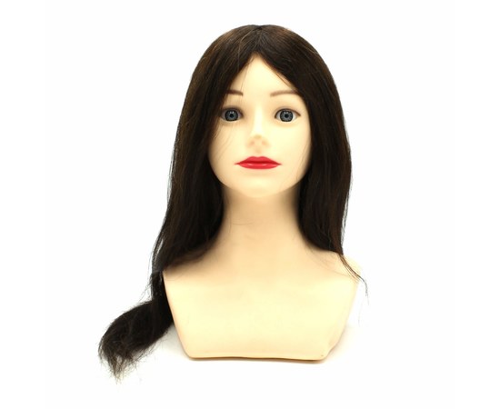 Изображение  Training mannequin "Chestnut" with shoulders and natural hair SPL 522/А-1