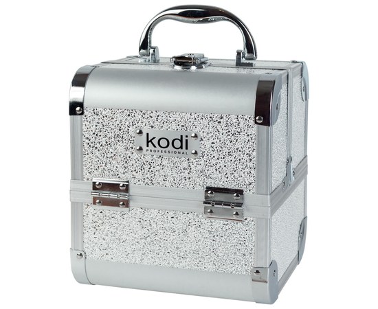 Изображение  Case for cosmetics Kodi №33 silver opal