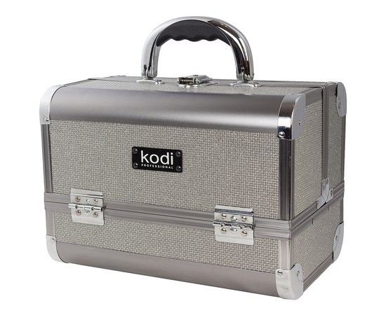 Изображение  Case Kodi №45 silver shine