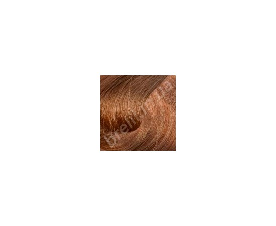 Изображение  Professional hair dye BRELIL Colorianne Essence 100 ml, 8.34, Volume (ml, g): 100, Color No.: 8.34