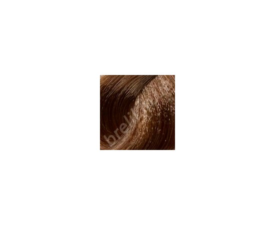Изображение  Professional hair dye BRELIL Colorianne Prestige 100 ml, 8/30, Volume (ml, g): 100, Color No.: 8/30