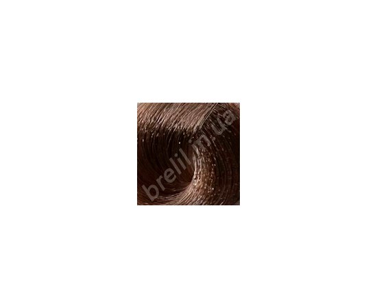 Изображение  Professional hair dye BRELIL Colorianne Prestige 100 ml, 8/32, Volume (ml, g): 100, Color No.: 8/32