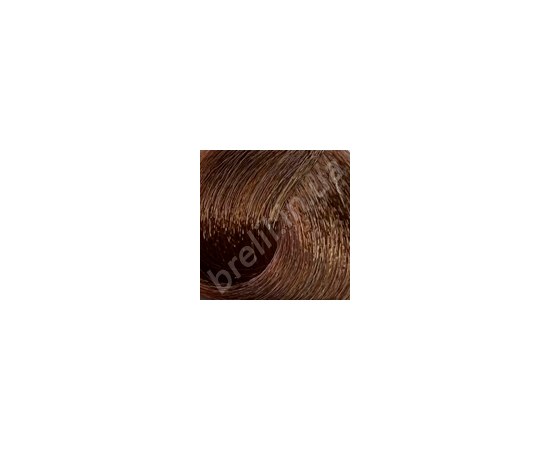 Изображение  Professional hair dye BRELIL Colorianne Prestige 100 ml, 8/38, Volume (ml, g): 100, Color No.: 8/38