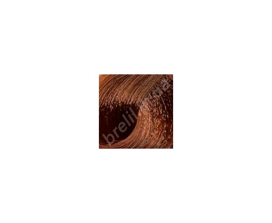 Зображення  Фарба для волосся професіоналальна BRELIL Colorianne Prestige 100 мл, 8/43, Об'єм (мл, г): 100, Цвет №: 8/43