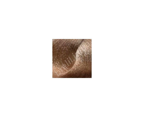 Изображение  Professional hair dye BRELIL SeriColor 100 ml, 10.1, Volume (ml, g): 100, Color No.: 10.1