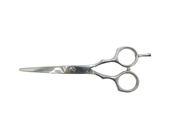 Изображение  Hairdressing scissors SPL 90062-55 straight professional 5.5